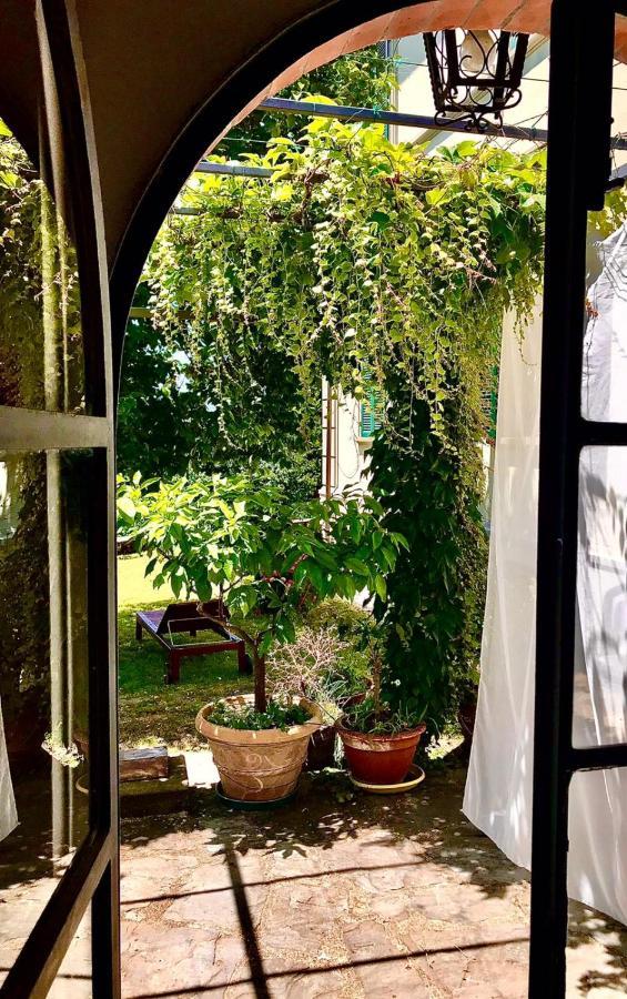Villa La Limonaia Di Casagrande Barga Exterior foto