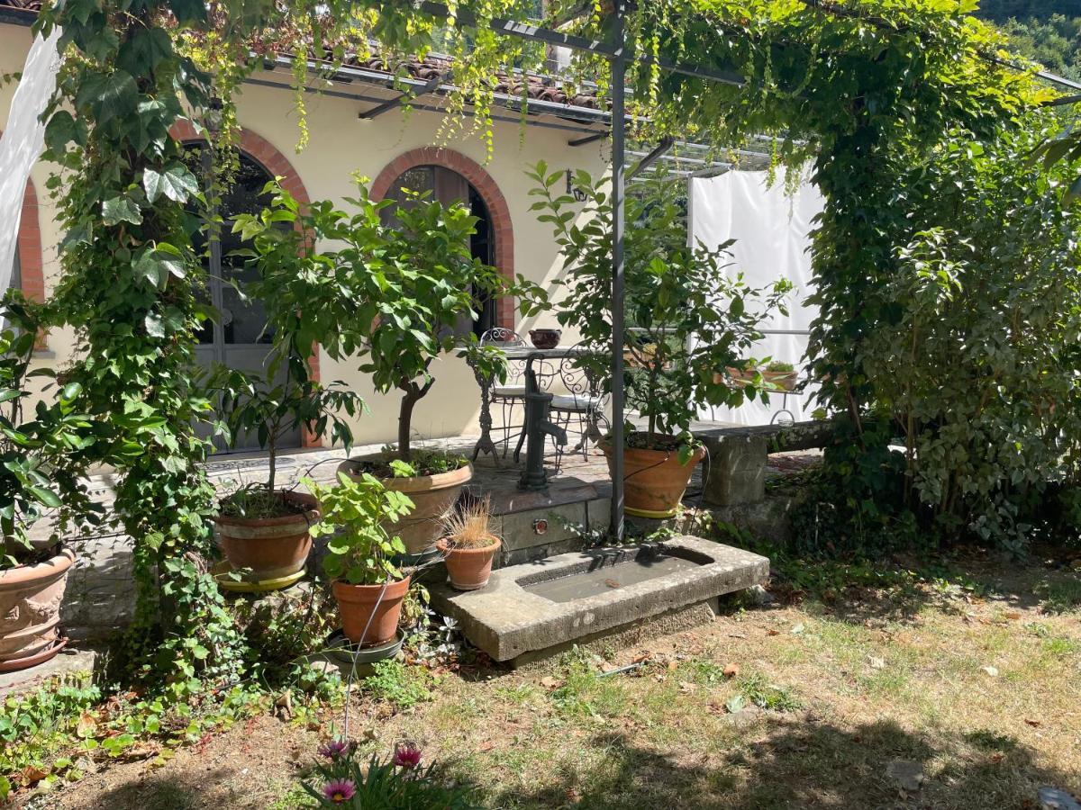 Villa La Limonaia Di Casagrande Barga Exterior foto